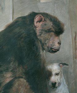 Abe og hund af Alfred Wesemann