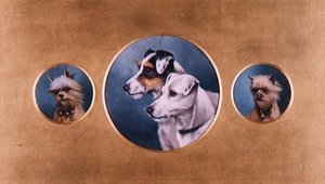Fox Terrier og Yorkshire Terrier af Alfred Wheeler