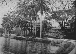 Kandy - Et malerisk hjørne af søen, c1890, 1910 af Alfred William Amandus Plate