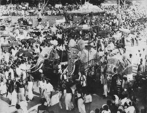 Hellig elefant i Perahera-processionen, Kandy, Ceylon, c1890, 1910 af Alfred William Amandus Plate