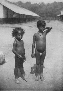 Tamil Estate Børn, c1890, 1910