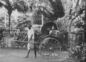 Tamilsk dame i Rickshaw, c1890, 1910