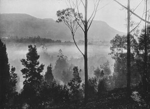 The Early Morning Mist Rising at Nuwara Eliya, c1890, 1910 af Alfred William Amandus Plate