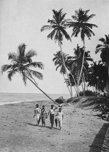 The Side of the Silver Sea, c1890, 1910 af Alfred William Amandus Plate