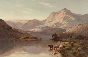 Loch Faddani