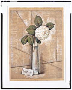 Gardenia i glas, ca. 1936 (gouache, akvarel og kridt på avispapir)