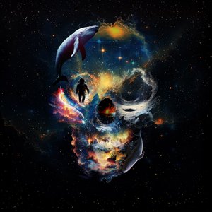 Rumhvalens kranium af Ali Gulec