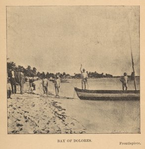 Dolores -bugten