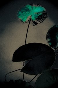 Emerald Spring, fra serien Spring, 2020 (håndmalet fotografi) af Alice Gur-Arie