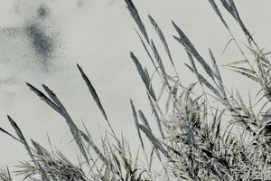 Harvest, 2017 (håndmalet fotografi)