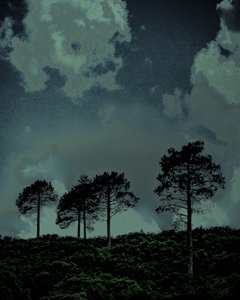 Last Light, 2018 (håndmalet fotografi)