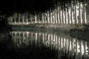 Rendering, 2018 (håndmalet fotografi)