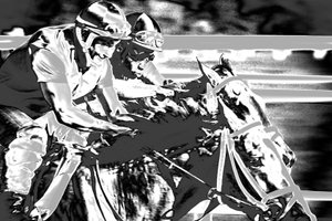 Saratogoa Trials, 2015 (håndmalet fotografi)