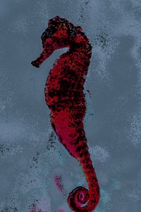 Seahorse, 2018 (håndmalet fotografi)