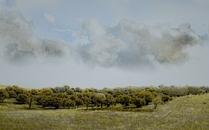 Sicilian Afternoon, 2018 (håndmalet fotografi)