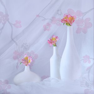  af Alice Sheng