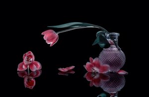  af Alice Sheng