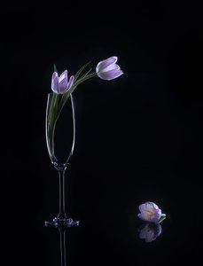  af Alice Sheng