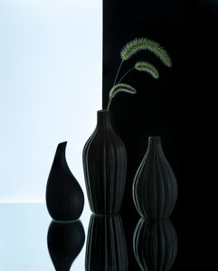  af Alice Sheng