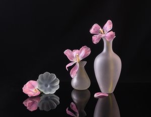  af Alice Sheng