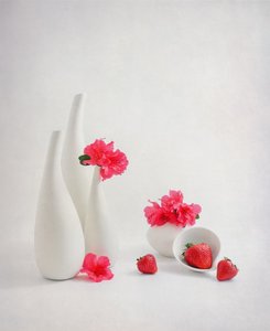  af Alice Sheng