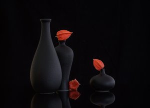  af Alice Sheng