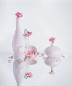  af Alice Sheng