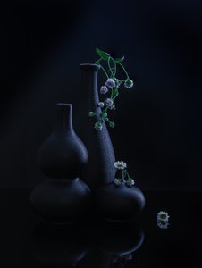  af Alice Sheng