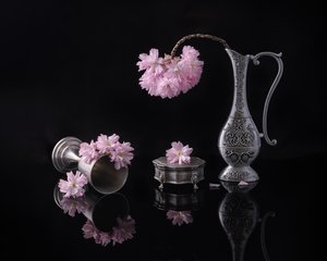  af Alice Sheng