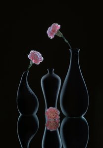  af Alice Sheng
