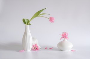  af Alice Sheng