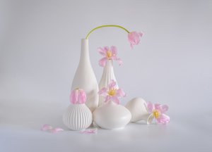  af Alice Sheng