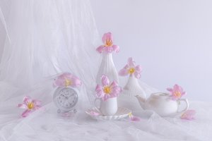  af Alice Sheng