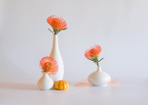  af Alice Sheng