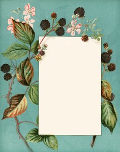 september af Alicia Amy Leith