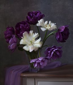  af Alina Lankina
