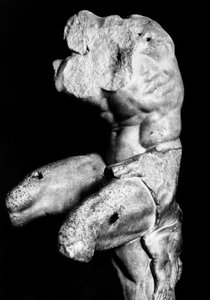 The Belvedere Torso af Apollonios af Nestor, ca. 1890 (s/h-foto) af Fratelli Alinari
