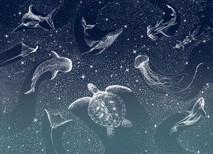 Himmelske havdyr af Alirıza ÇAKIR