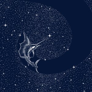 Himmelssejlfisk af Alirıza ÇAKIR