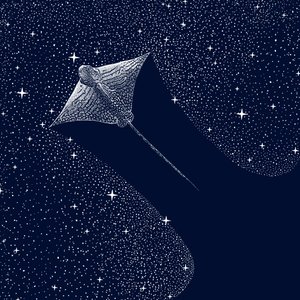 Kosmisk ørnerokke af Alirıza ÇAKIR