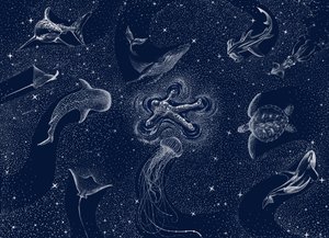 Kosmisk havdrøm af Alirıza ÇAKIR