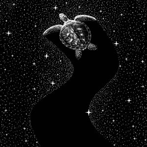 Den kosmiske havskildpadde af Alirıza ÇAKIR