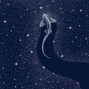 Kosmisk haj af Alirıza ÇAKIR