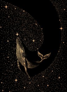 Kosmisk hval-drøm af Alirıza ÇAKIR