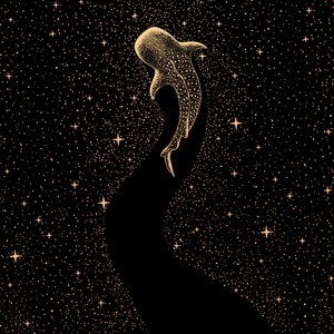 Den kosmiske hvalhaj af Alirıza ÇAKIR