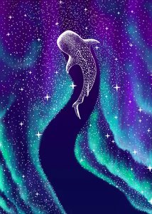 Nordlys og hvalhaj af Alirıza ÇAKIR