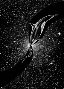 Stjernehvalens omfavnelse af Alirıza ÇAKIR