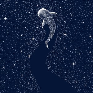 Stjernehvalhaj af Alirıza ÇAKIR