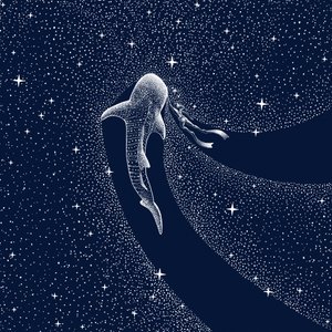 Rejsen gennem hvalhajernes galakse af Alirıza ÇAKIR