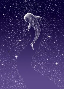 Svømning blandt hvalhajer i Galaxien af Alirıza ÇAKIR